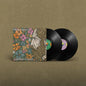 Mick Flannery: Goodtime Charlie - VINYL