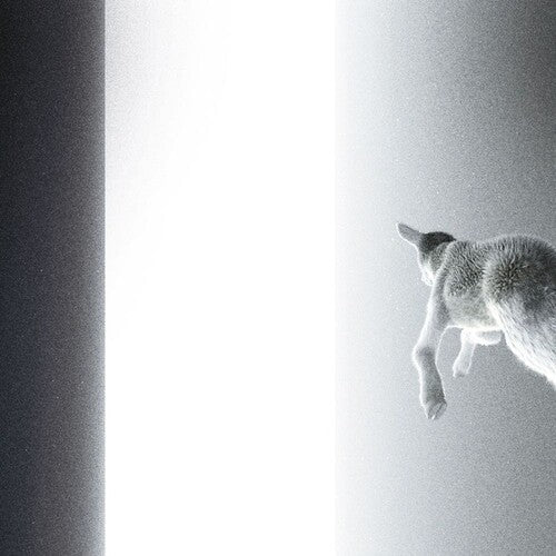 Panoram: Keep Looking Where The Light Comes From - VINYL