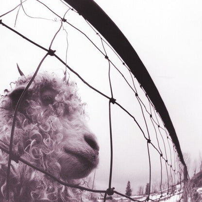 Pearl Jam - Vs. (30th Anniversary) - VINYL