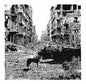 Vox Low: Keep On Falling - VINYL