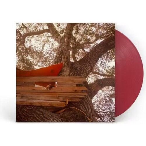 The Backseat Lovers - Waiting To Spill (Anniversary Edition) - VINYL
