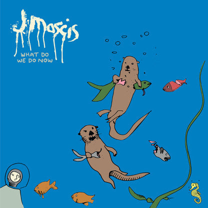 J Mascis - What Do We Do Now - VINYL