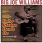 Big Joe Williams: Baby Please Don't Go: The Collection 1935-62 - CD