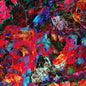 San Leo: Aves Raras - VINYL