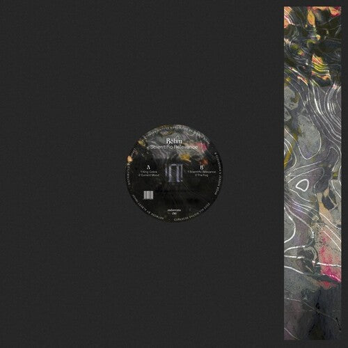 Bohm: Scientific Relevance - 12-INCH SINGLE