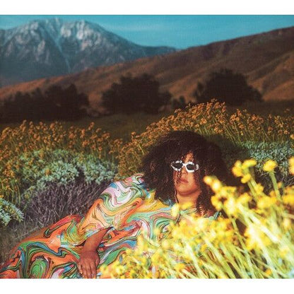 Brittany Howard - What Now - VINYL