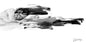Daniel Avery: Drone Logic - 10th Anniversary Edition - VINYL
