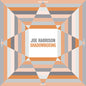 Joe Harrison: Shadowboxing - VINYL