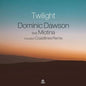 Dominic Dawson: Twilight - 7-INCH SINGLE
