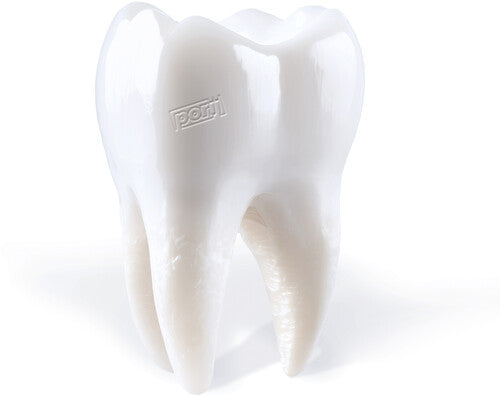 Porij: Teething - CD