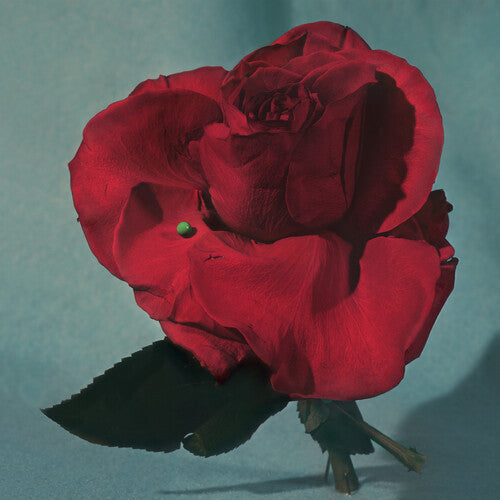 METZ - Up on Gravity Hill - VINYL