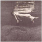 Jim Hall: Undercurrent - CD