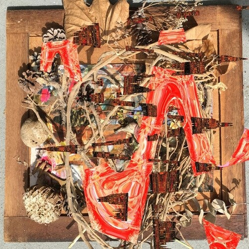 Merzbow: Tsubute Mosaic - VINYL