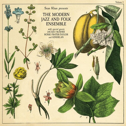 Sean Khan & The Modern Jazz & Folk Ensemble: Sean Khan Presents The Modern Jazz & Folk Ensemble - CD