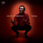Jacob Anderskov: I Sang - VINYL