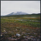 Gidge: Tundra - 12-INCH SINGLE