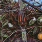Dragonfly - Dragonfly - VINYL