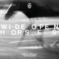 James Vincent McMorrow: Wide Open, Horses - CD