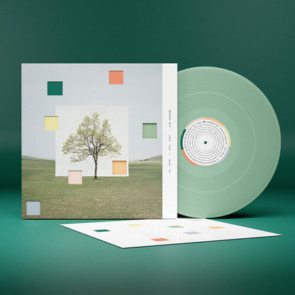 Washed Out - Notes From a Quiet Life - Loser Edition - VINYL
