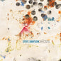 Steve Dawson: Ghosts - CD
