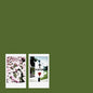 John Moreland: Visitor - CD