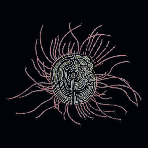 Ka Baird: Bearings: Soundtracks for the Bardos' - VINYL