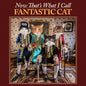 Fantastic Cat: Now That's What I Call Fantastic Cat - VINYL