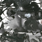 Itabashi, Fumio / Schwarz, Henrik / Kuniyuki: Watarase - 12-INCH SINGLE
