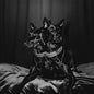 NTO: Forever Friends - CD