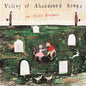 The Felice Brothers: Valley Of Abandoned Songs - VINYL