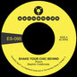 Stephen Colebrooke: Shake Your Chic Behind B/W Stay Away From Music - 7-INCH SINGLE