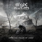 Shade Of Sorrow: Upon The Fields Of Grief - CD