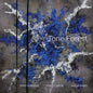 Tone Forest: Tone Forest - CD