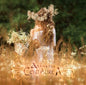 Ataraxia: Centaurea - VINYL