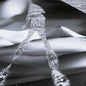 Zadeh: Psssh 004 - 12-INCH SINGLE
