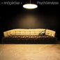 Rinocerose: Psychoanalysis - CD