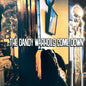 The Dandy Warhols: ...the Dandy Warhols Come Down - VINYL