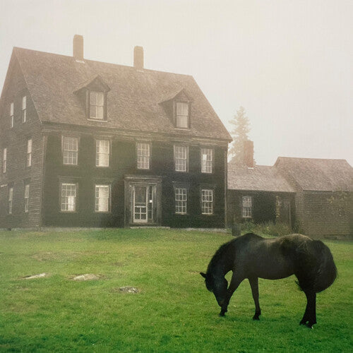 Lutalo: The Academy - Meadow Green - VINYL