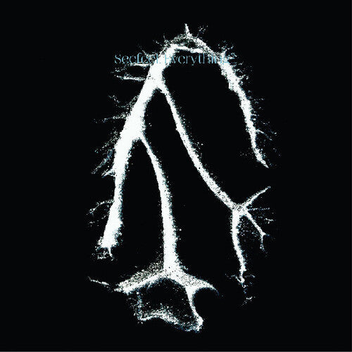 Seefeel: Everything Squared - CD