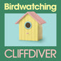 Cliffdiver: Birdwatching - VINYL