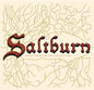Various: Saltburn (Original Soundtrack) - VINYL
