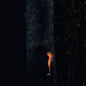 Bzdb: Jump Ship, Sit Lean, Be Still, Stand Tall - VINYL