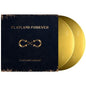 Flatland Cavalry - Flatland Forever - VINYL