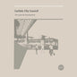 Carlisle City Council: The Lanes Re-Development - Transparent Vinyl - VINYL