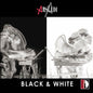 Rodolfo Rossi: Black & White - Ars Ludi - CD