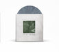 Modern Baseball: You're Gonna Miss It All - Anniversary Edition - VINYL