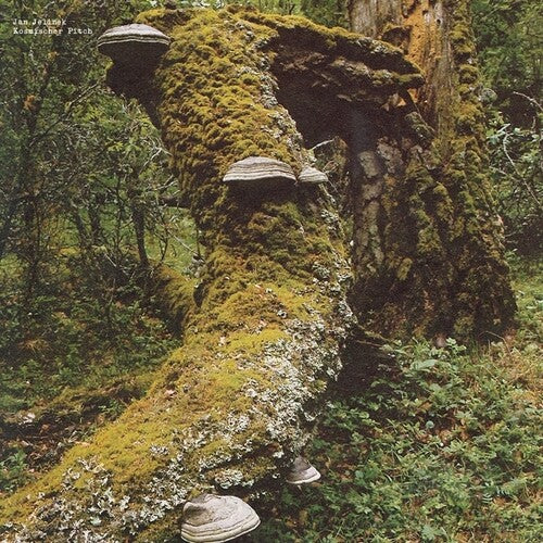 Jan Jelinek: Kosmischer Pitch - VINYL