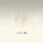 Amulets: Not Around But Through - VINYL