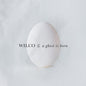 Wilco - A Ghost Is Born - VINYL