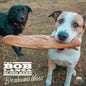 Bob Lanza: Breadman's Blues - CD
